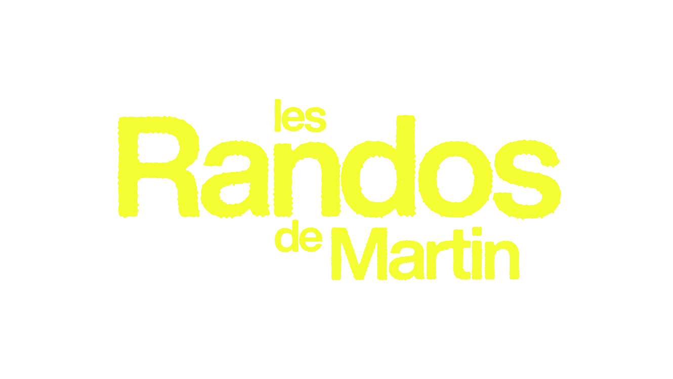 LOGO_LRDM_YELLOW
