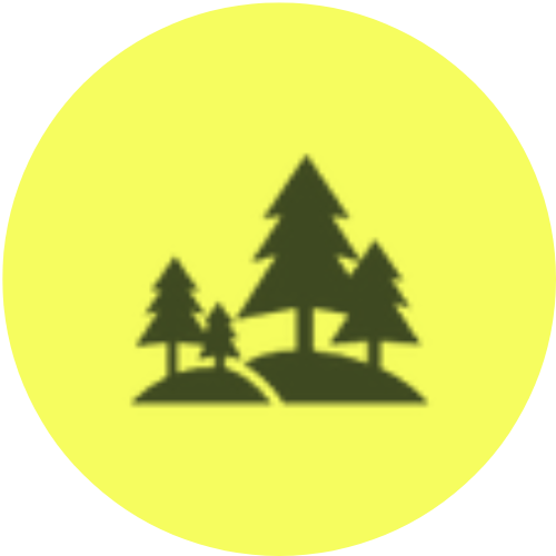 icone arbre nature